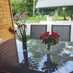 Vila ART House Transylvania Avrig
