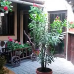 Pensiunea Casa Veche Sibiu