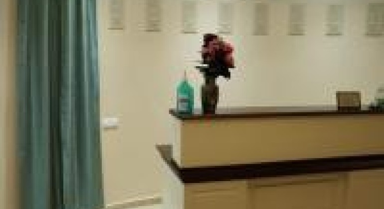 Pensiunea Green Villa Sibiu Sibiu