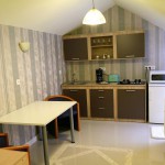 Apartments for rent Grun Haus Studio Sibiu