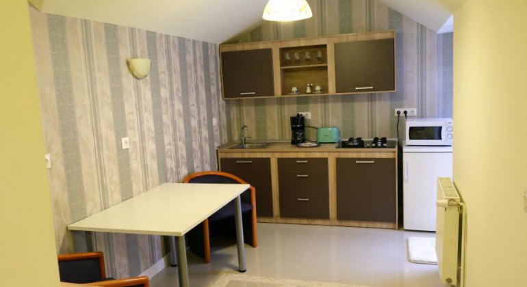 Apartments for rent Grun Haus Studio Sibiu