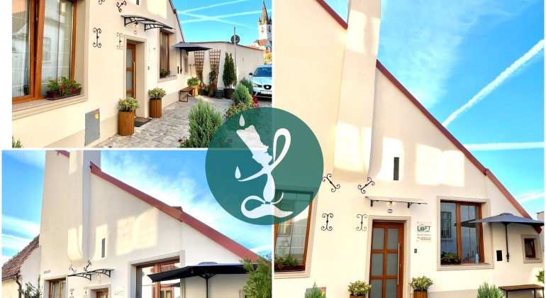 Pensiunea Loft By Lumiere Sibiu