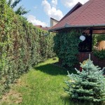 Pensiunea Magnolia Sibiu