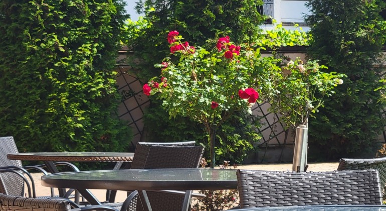 Villák Transylvanian Coliving Sibiu